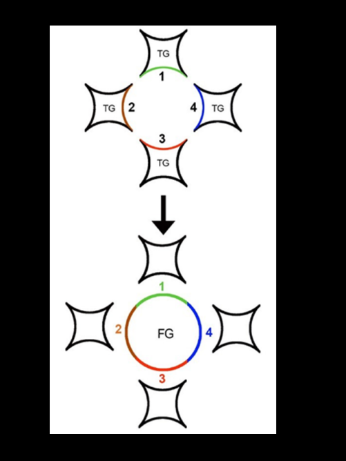 Figure 14: Inconsistency of Newtonian Physics. As is found from the above figure ‘acceleration’ is linked to ‘velocity’ and ‘time’ both.