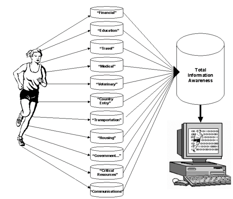 Figure 2: LLM as Holistic Information Source for Healthcare.