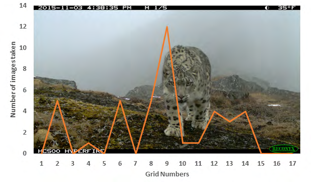 Figure 13