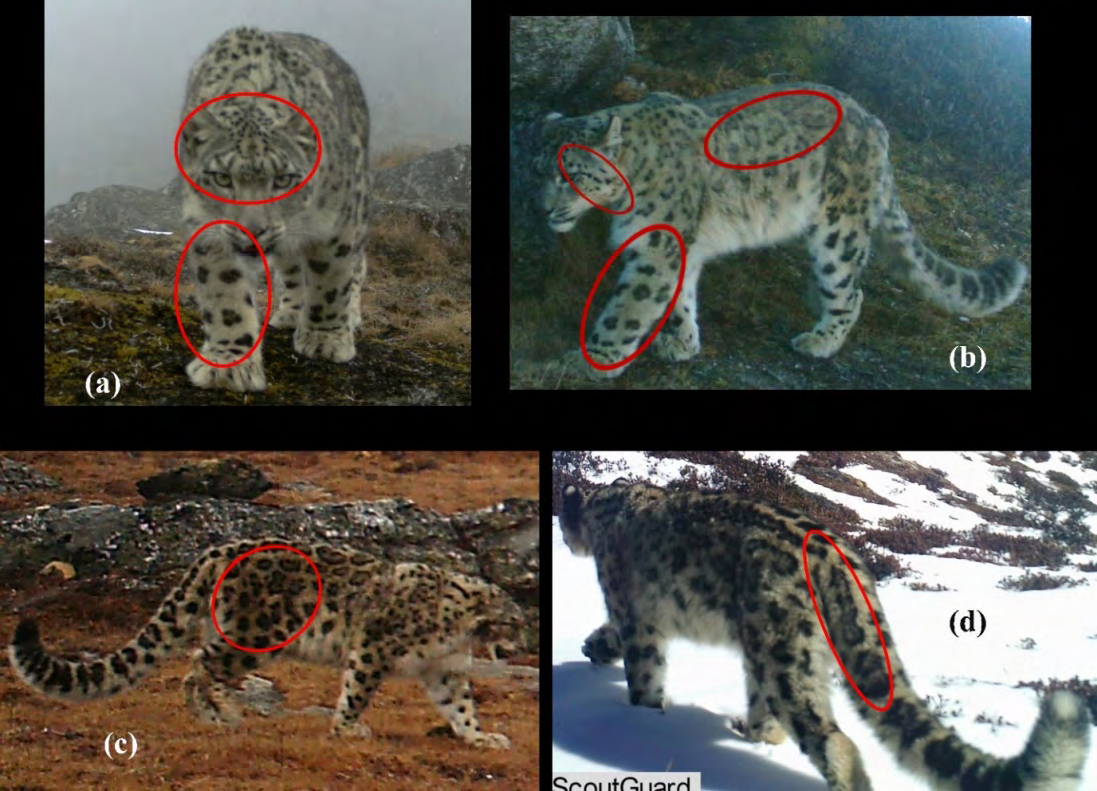 Figure 15