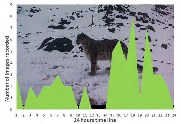 Figure 16