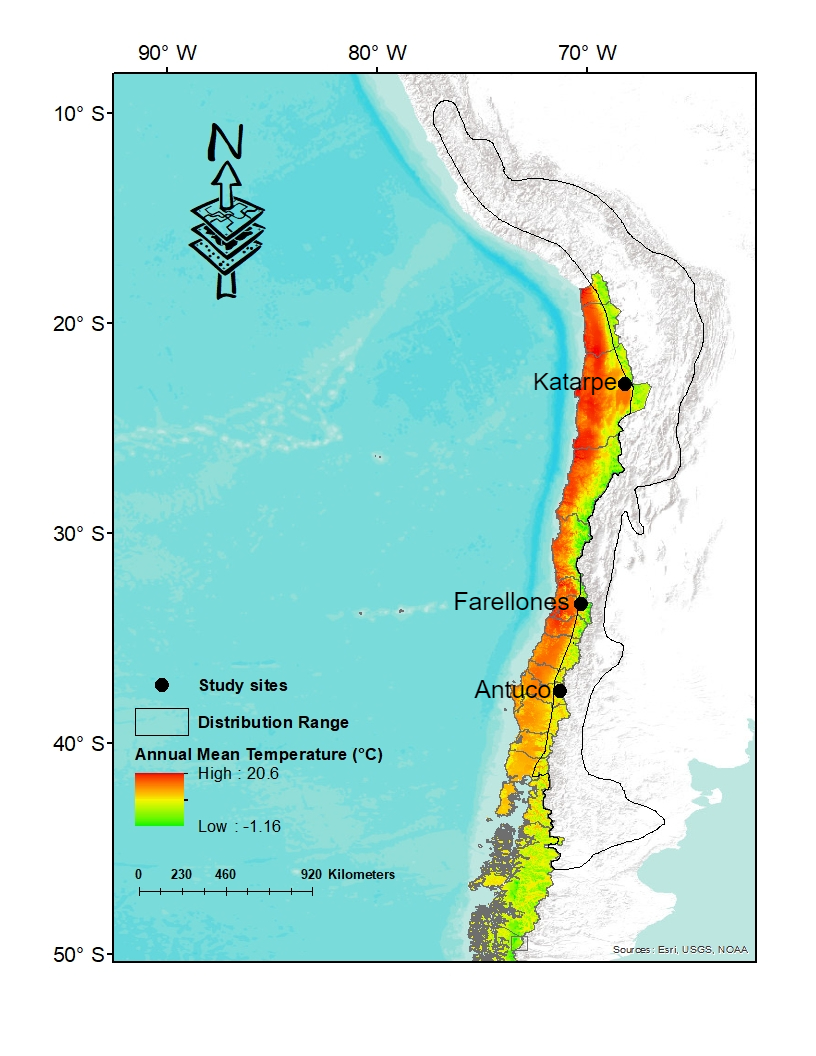 Figure 1: Locations of R. spinulosa in Chile. In circle, localities for the study of Tsel. In line without filling, distribution range of the species. In color gradient, mean annual temperature.