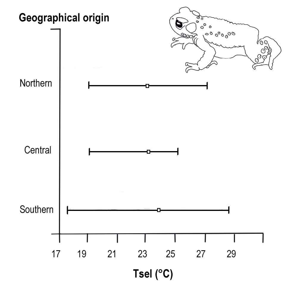 Figure 3: Means and ranges of selected temperatures (Tsel) measured in R. spinulosa adults from the northern, central and southern localities.