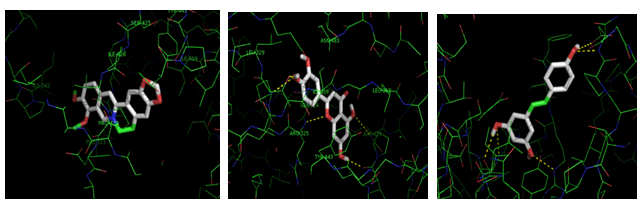 Figure 11