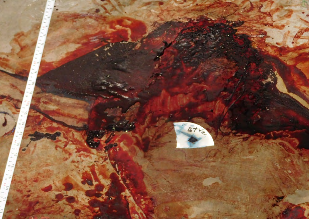Figure 14: Blood smeared cloth found near the female body.