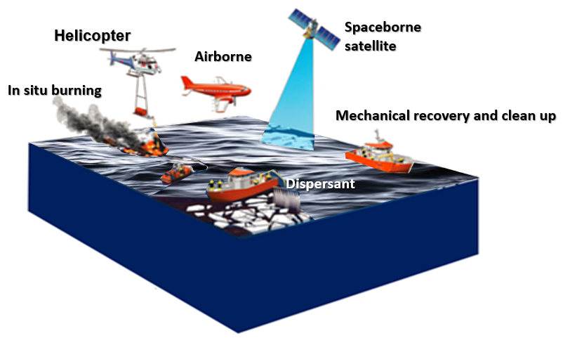 Figure 14: Cleanup of the coastline.