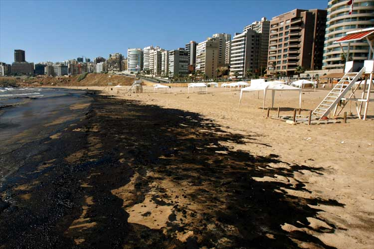Figure 8: Oil Spill and its adverse effects on the marine bio-system and environment.