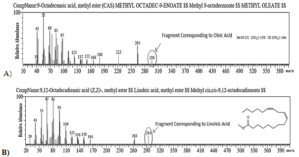 Figure 4: Fragments 296 and 294 corresponding to oleic acid and linoleic acid, respectively were observed in Isolate No. AlkM3.