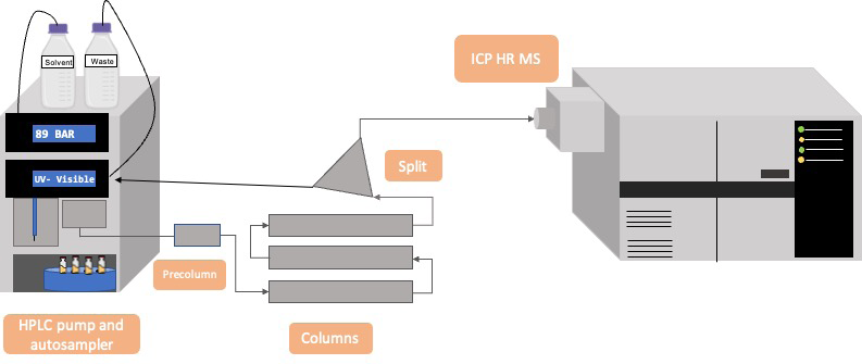 Figure 3: Schematic of the experimental setup employed, showing the sequence of the analysis. After injection into the HPLC pump, the sample passed through a precolumn and then sequentially through 3 columns to a splitter for simultaneous detection using ICP HR MS and a UV‒visible detector.