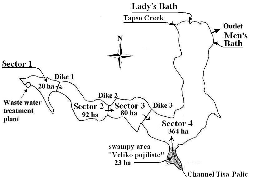 Figure 1: The structure of the Palić Lake.