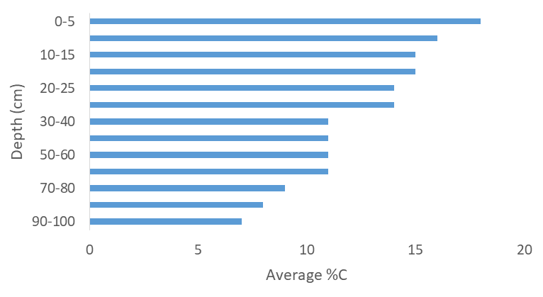 Figure 4: Variation of Total Average Carbon Storage with Lithology. (C=clay, P=peat, SC=sandy clay, CS=clayey sand, PCS=peaty clayey sand, PS=peaty sand, SP=sandy peat, CP=clayey peat, PC=peaty clay).
