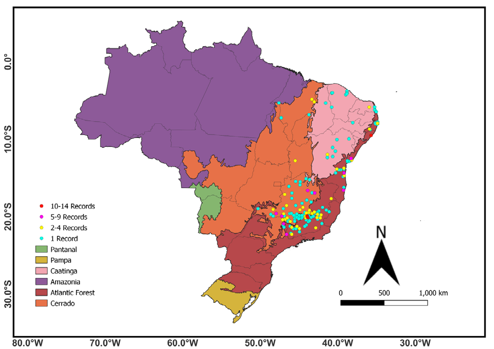Figure 1: Geographic distribution of municipalities with feeding records of the Rufous-tailed Jacamar (Galbula ruficauda) obtained by citizen scientists in the Caatinga and surrounding portions of the Atlantic Forest and the Cerrado, Brazil, between 2009 and 2021. Records were gathered in the WikiAves and eBird databases by FMOC in February 2021.